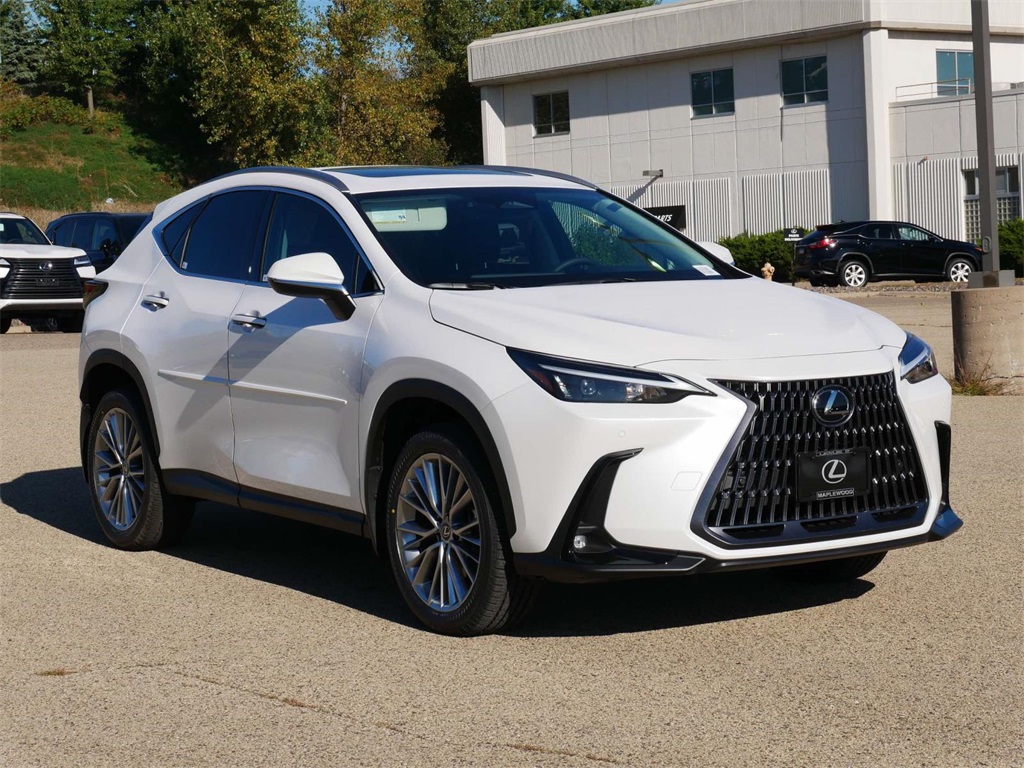 2025 Lexus NX 350 Base 55