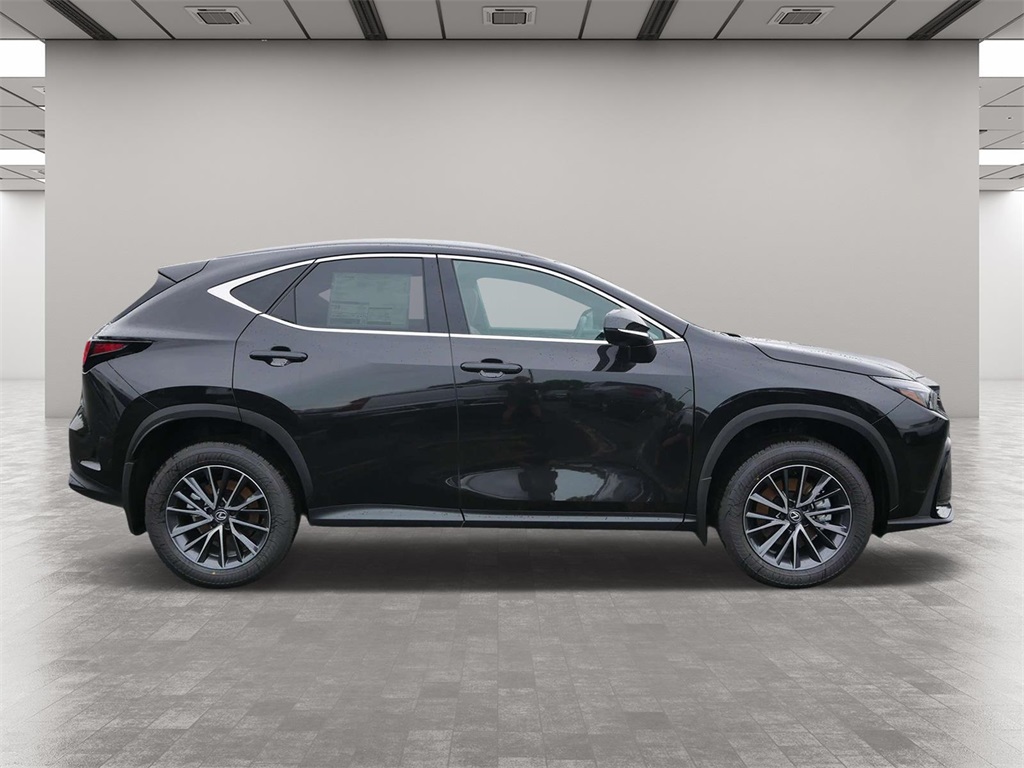 2025 Lexus NX 350h Base 6