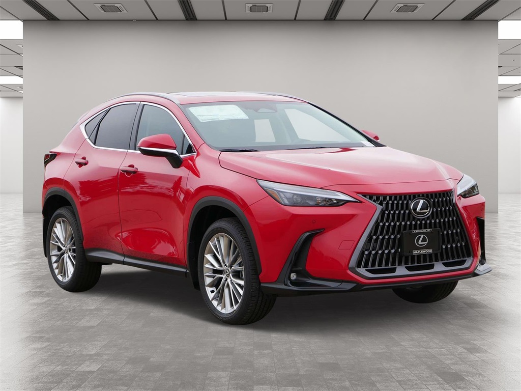 2025 Lexus NX 350 Premium 1