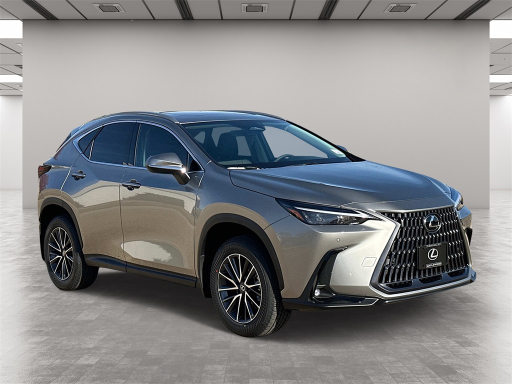 2025 Lexus NX 350 Base 1