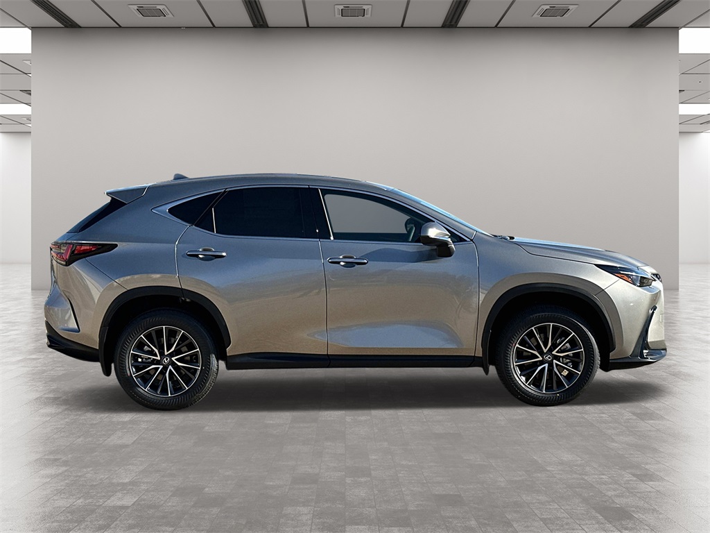 2025 Lexus NX 350 Base 6