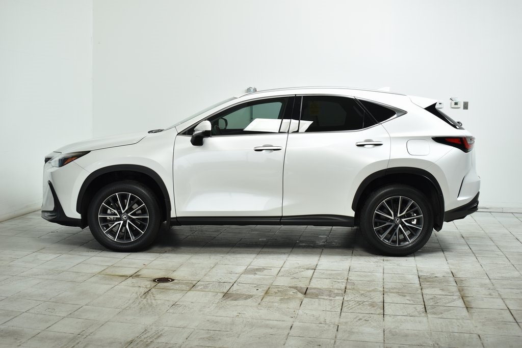 2024 Lexus NX 350 Premium 4