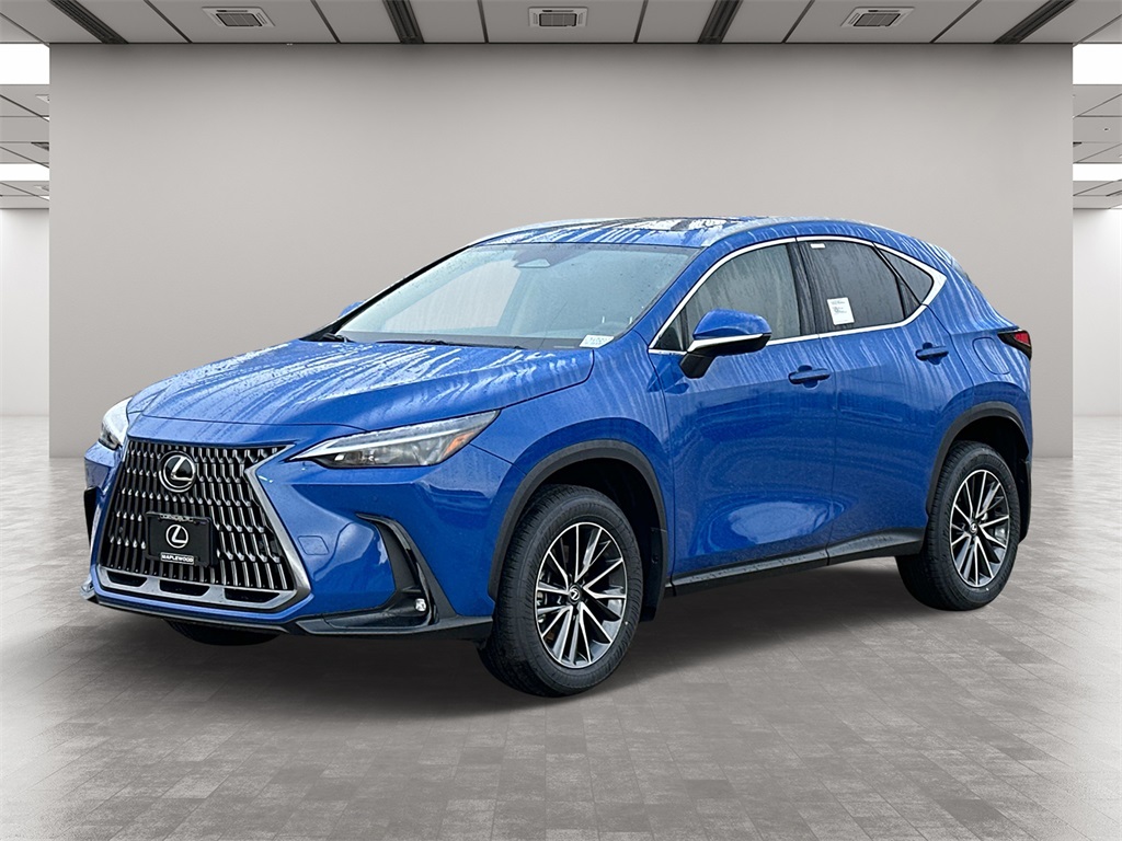 2025 Lexus NX 350 Base 2