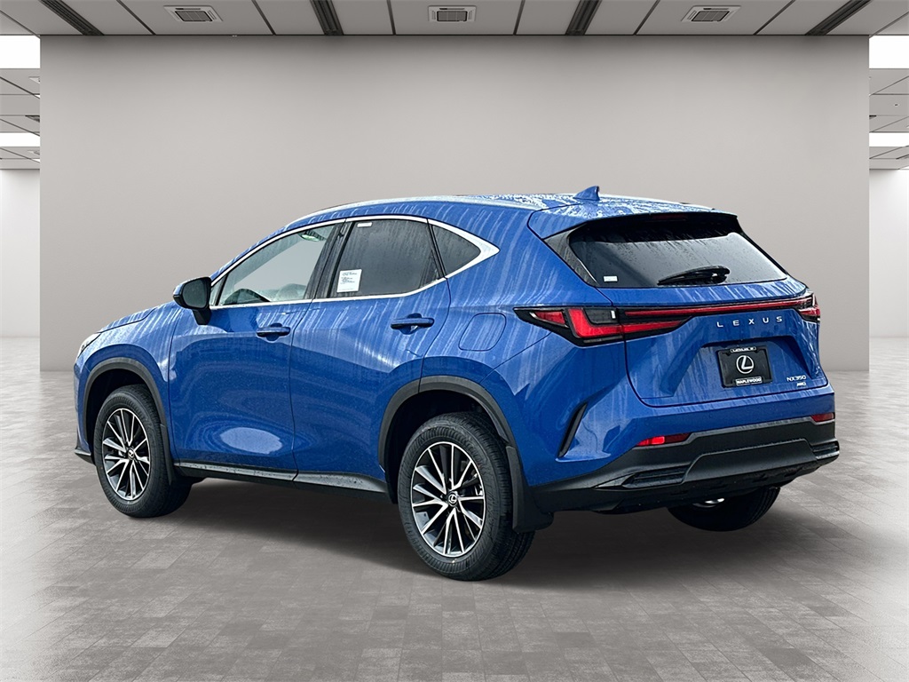 2025 Lexus NX 350 Base 4