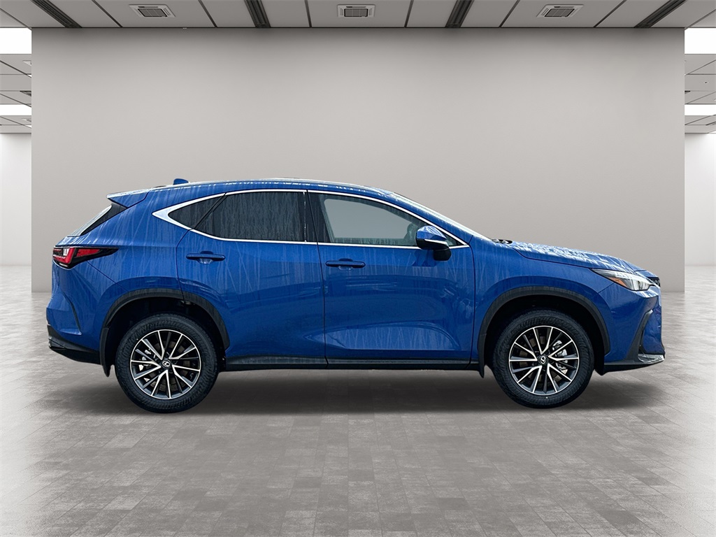 2025 Lexus NX 350h Base 6