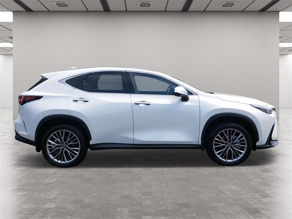 2025 Lexus NX 350h Premium 6