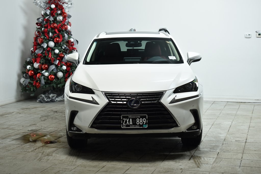 2019 Lexus NX 300h 3