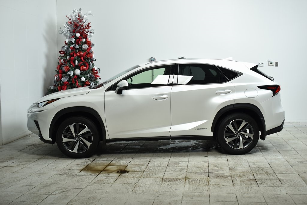 2019 Lexus NX 300h 4