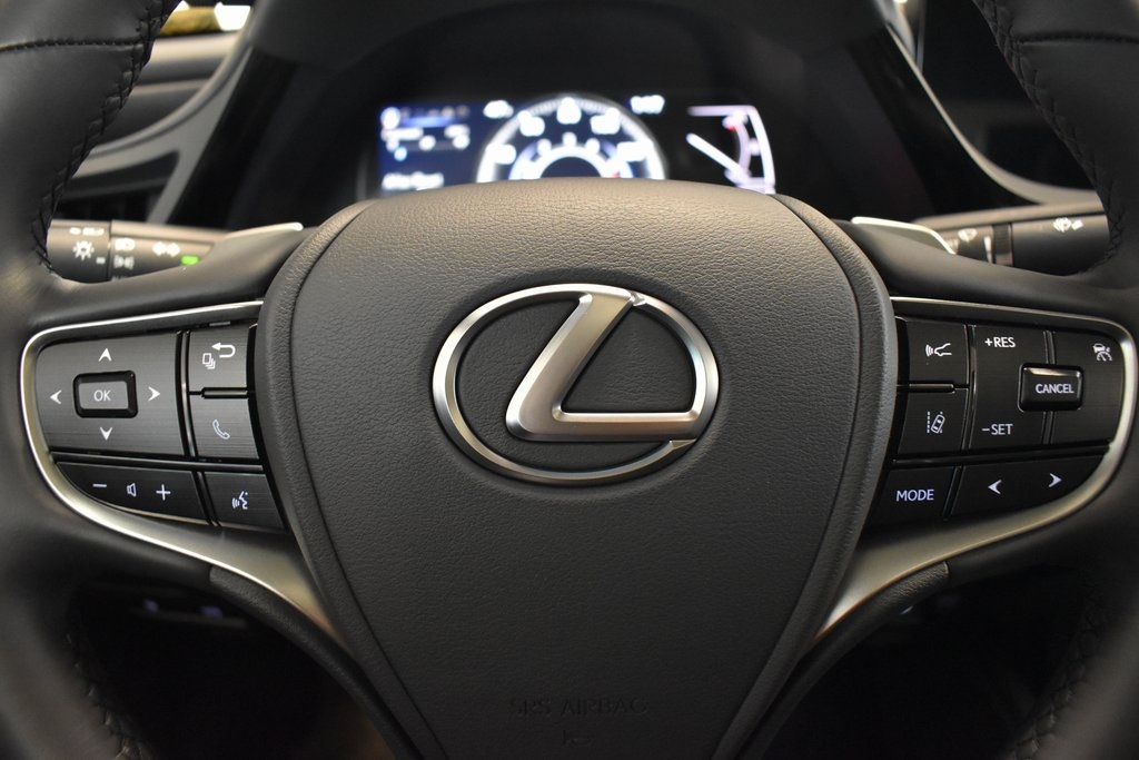 2024 Lexus ES 250 8