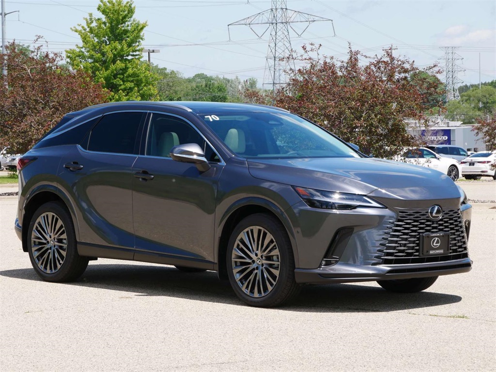 2024 Lexus RX 350 Luxury 1