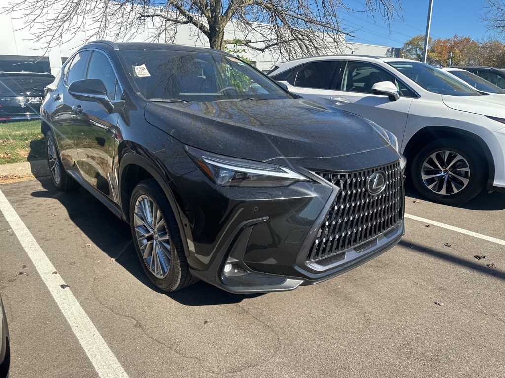 2025 Lexus NX 350h Luxury 1