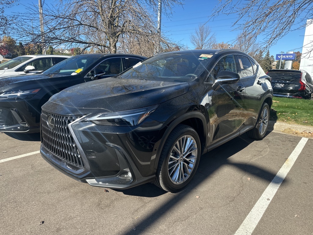 2025 Lexus NX 350h Luxury 2