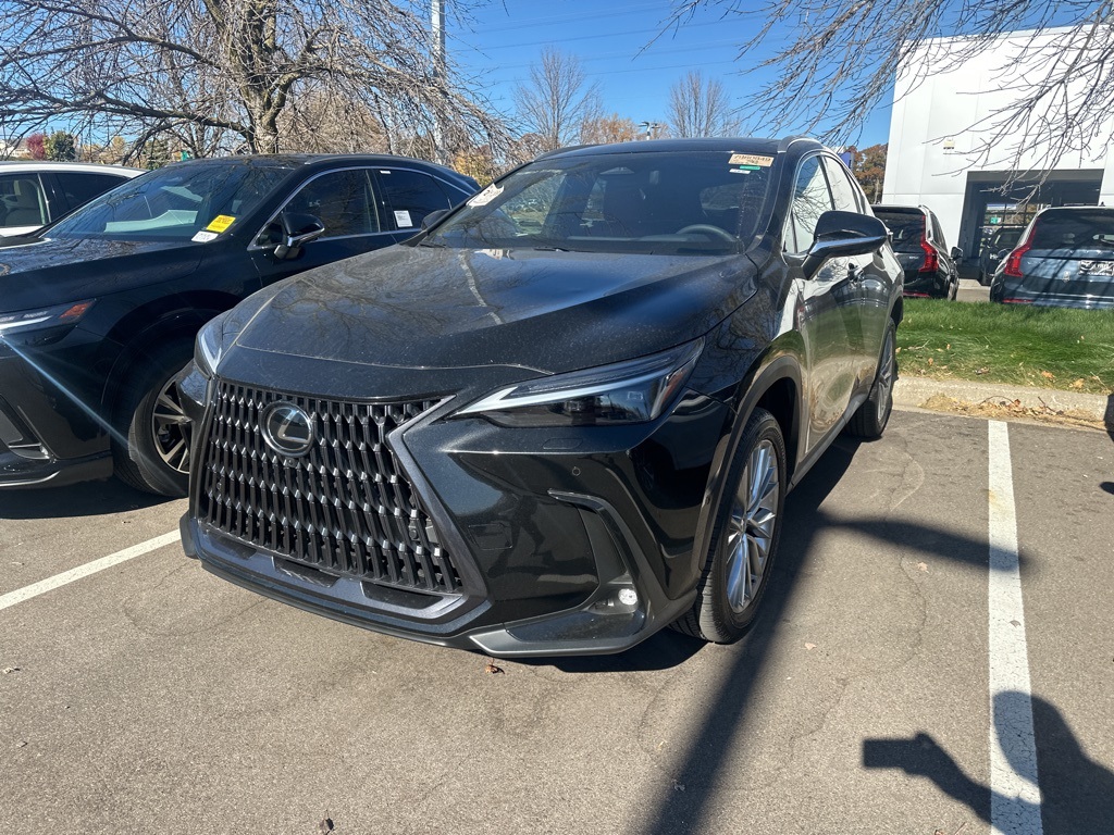 2025 Lexus NX 350h Luxury 3