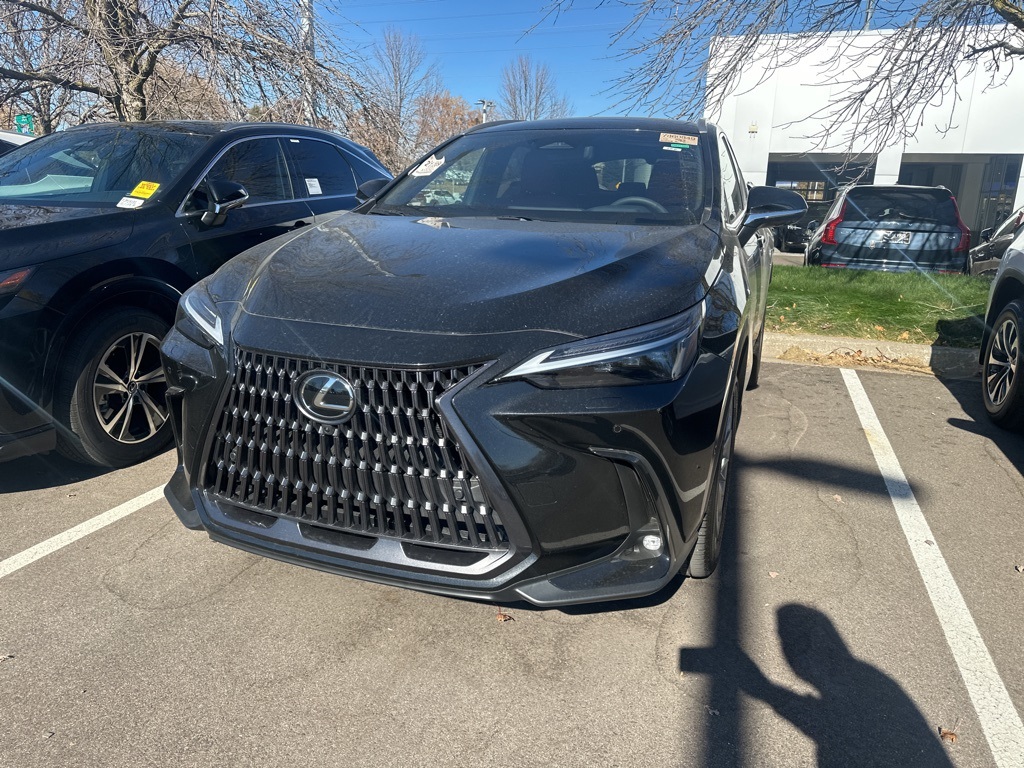 2025 Lexus NX 350h Luxury 4