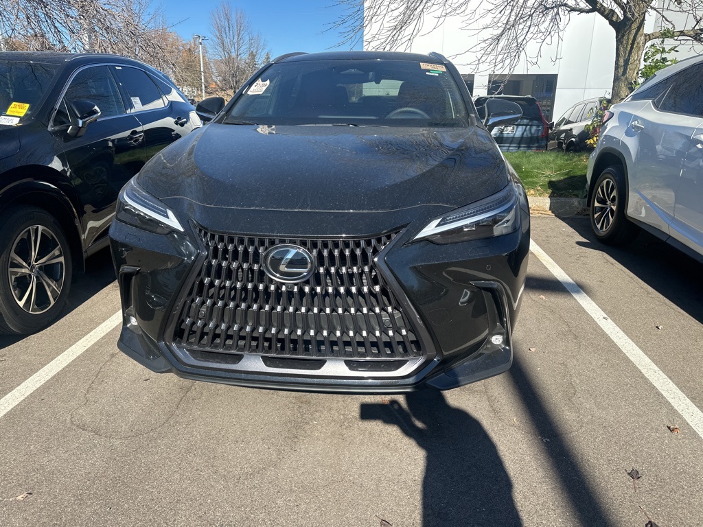 2025 Lexus NX 350h Luxury 5