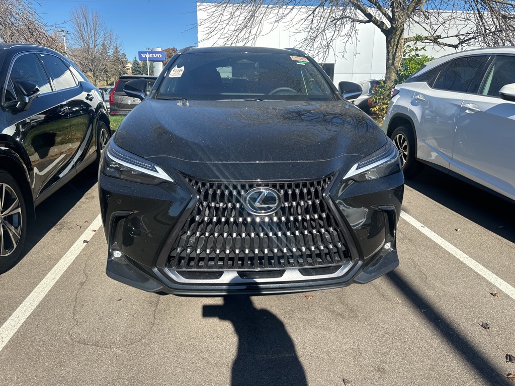 2025 Lexus NX 350h Luxury 6