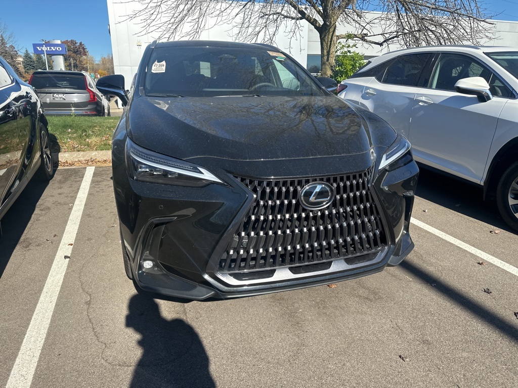 2025 Lexus NX 350h Luxury 7