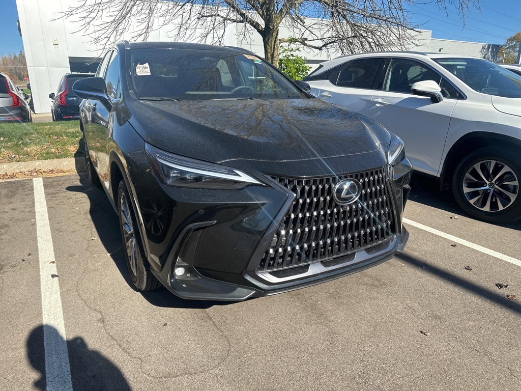 2025 Lexus NX 350h Luxury 8