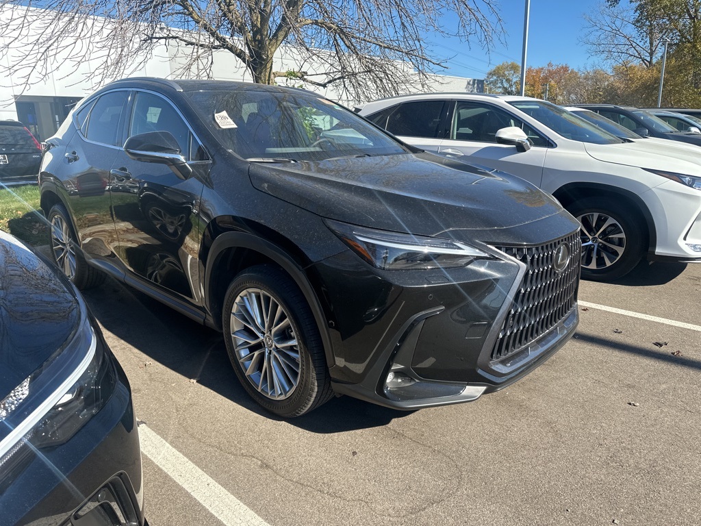 2025 Lexus NX 350h Luxury 9