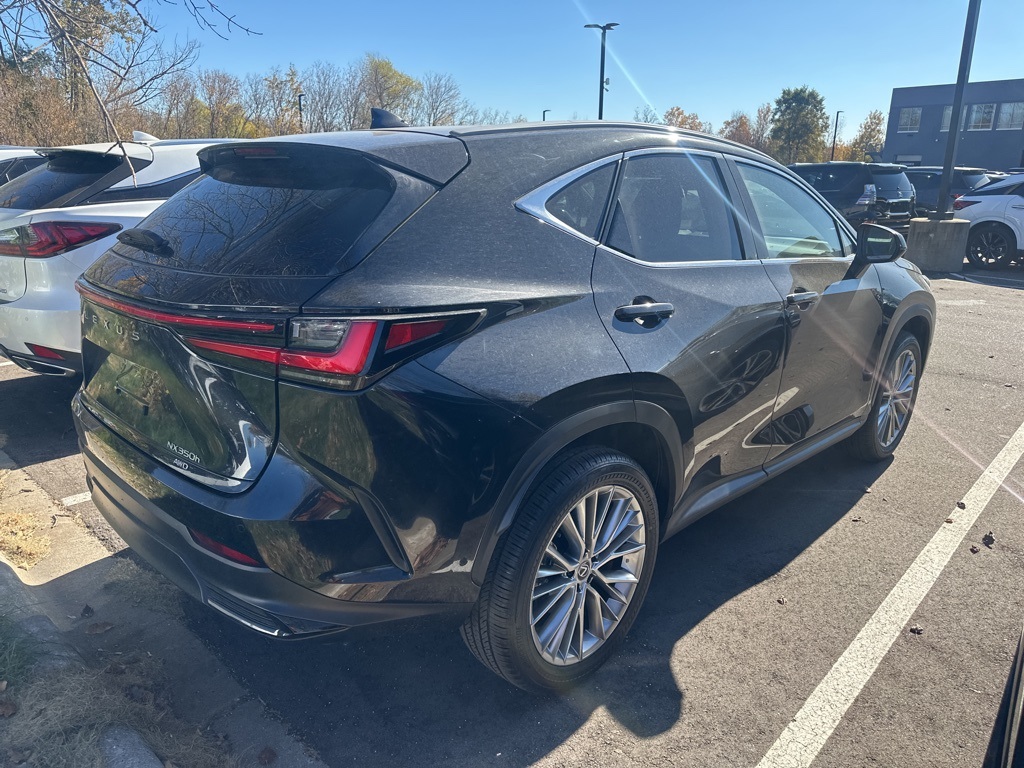 2025 Lexus NX 350h Luxury 10