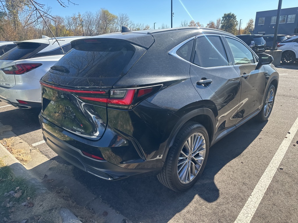 2025 Lexus NX 350h Luxury 11