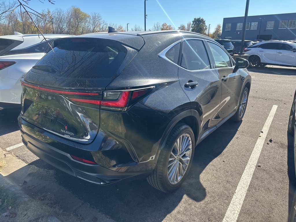 2025 Lexus NX 350h Luxury 12