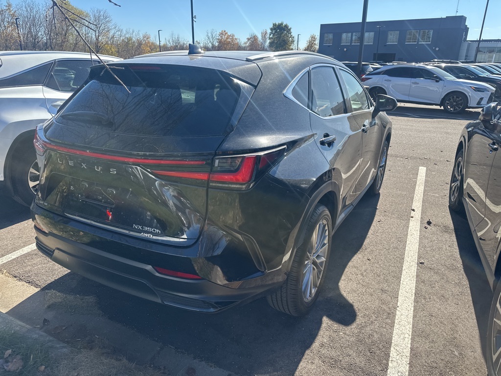 2025 Lexus NX 350h Luxury 13