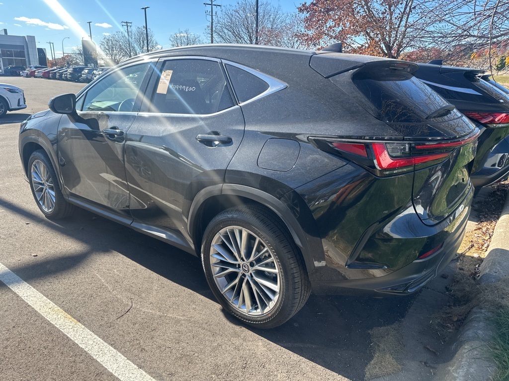 2025 Lexus NX 350h Luxury 19