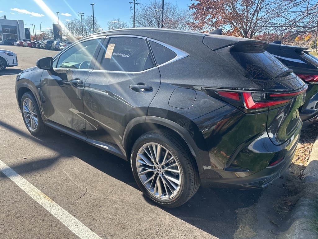 2025 Lexus NX 350h Luxury 20