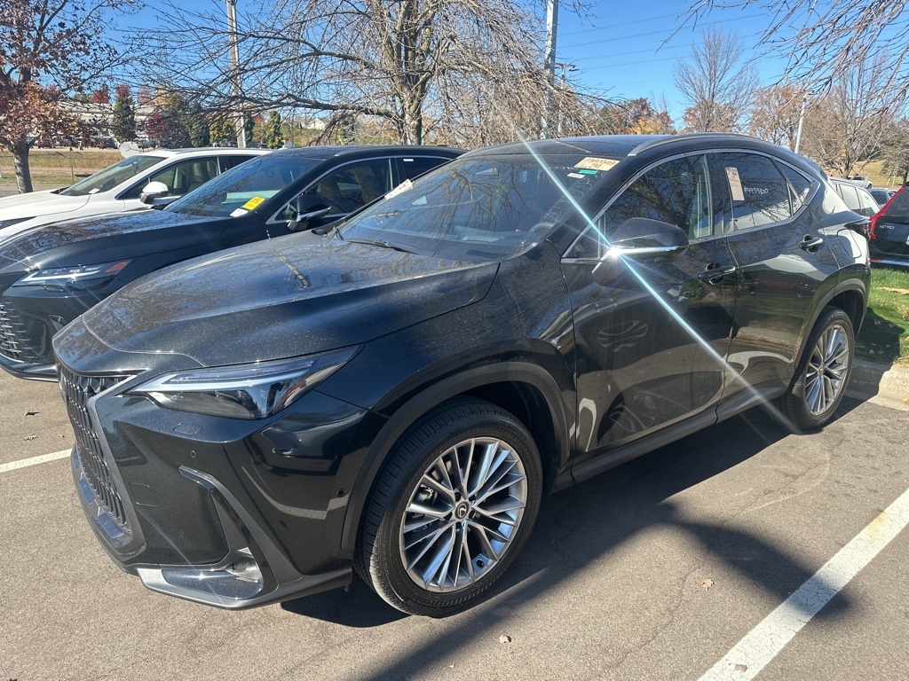 2025 Lexus NX 350h Luxury 21