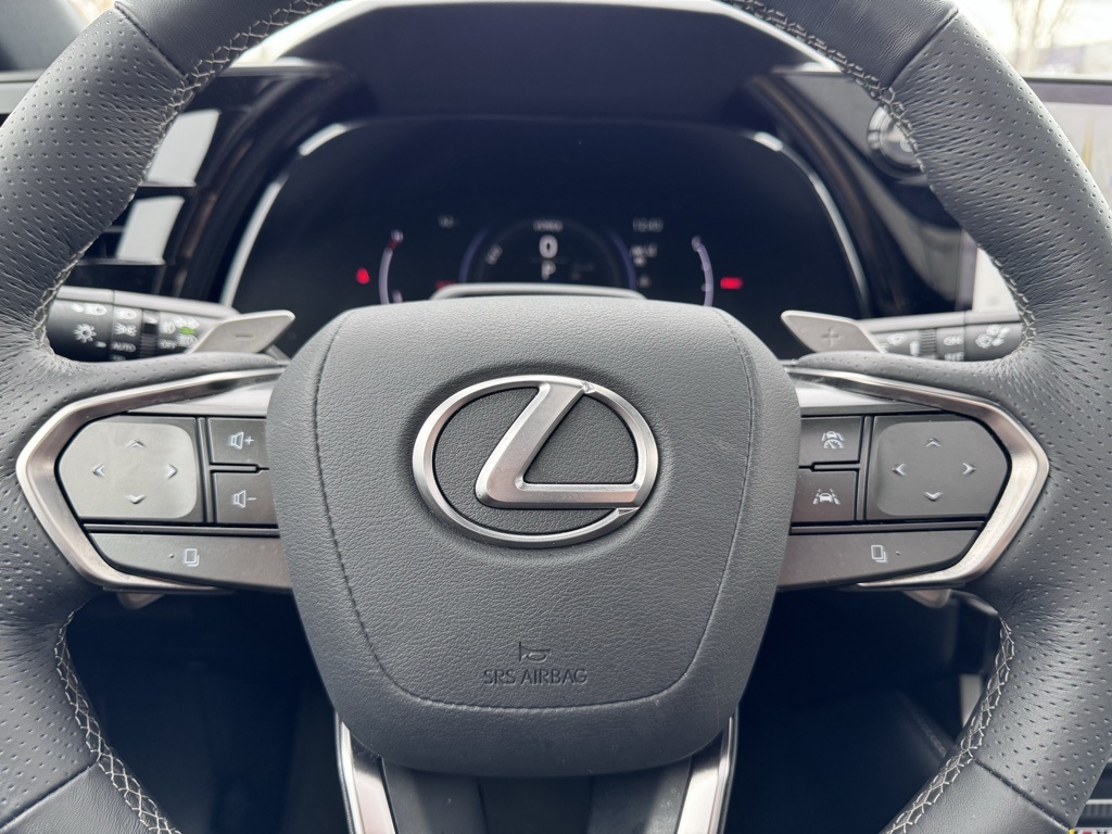 2023 Lexus RX 500h F SPORT Performance 20