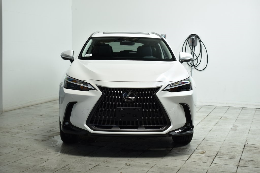 2025 Lexus NX 350h Premium 3