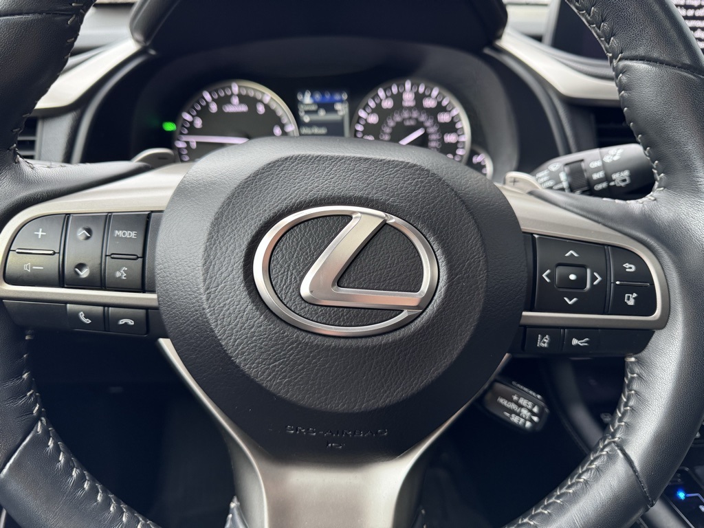 2021 Lexus RX 350 19