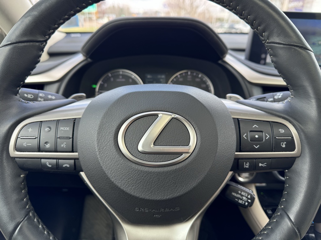 2022 Lexus RX 350 22