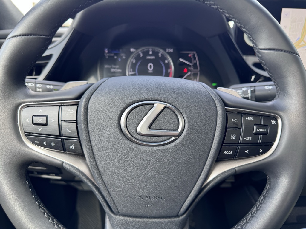 2024 Lexus ES 250 11