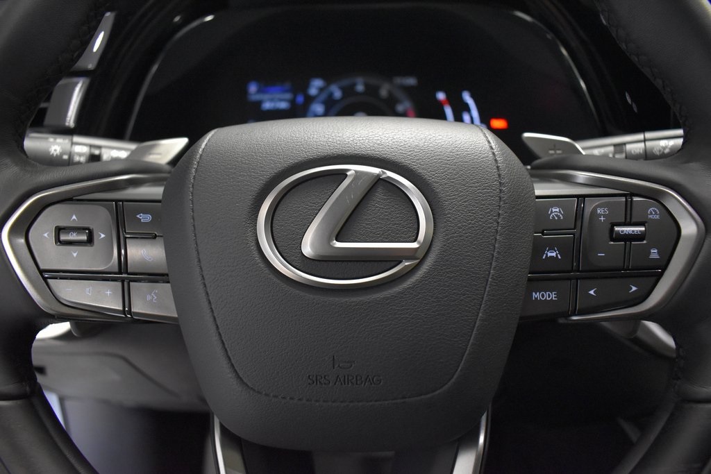 2024 Lexus RX 350 Premium Plus 8