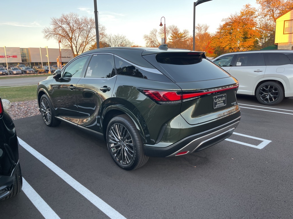 2024 Lexus RX 350 Luxury 6