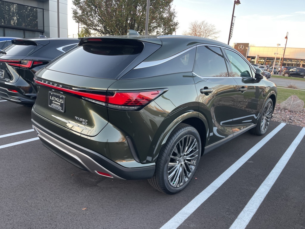 2024 Lexus RX 350 Luxury 8