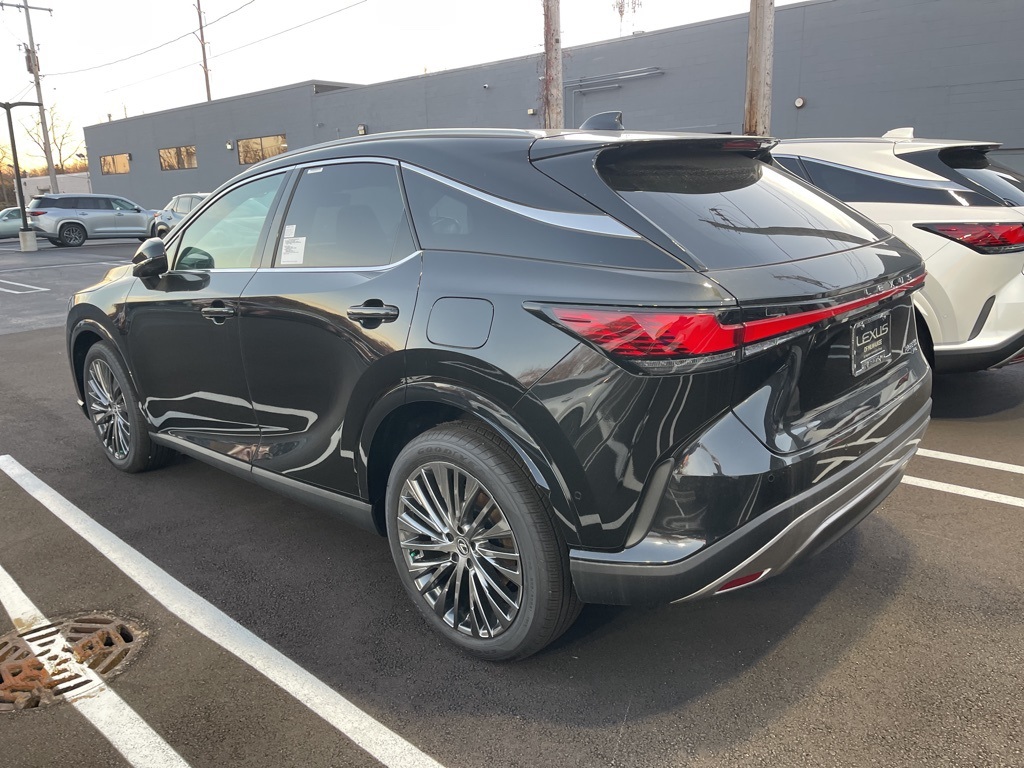 2024 Lexus RX 350 Luxury 6