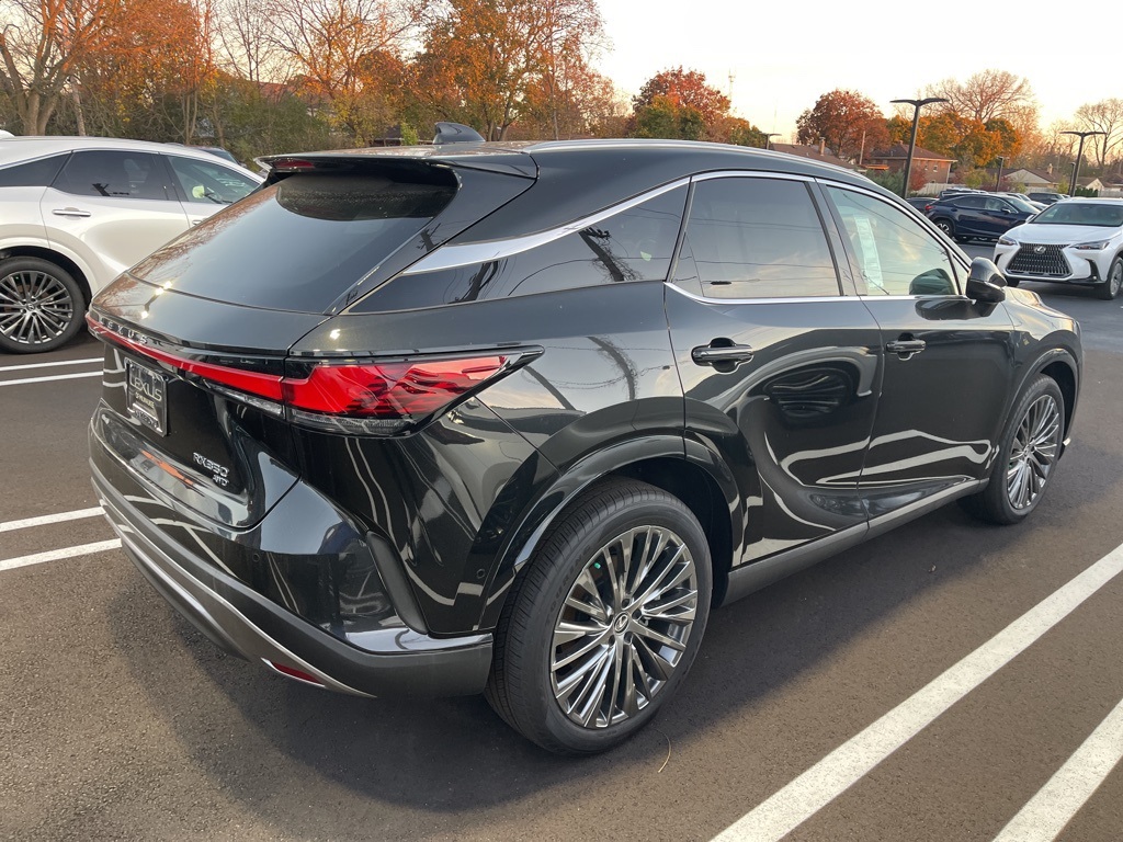 2024 Lexus RX 350 Luxury 8