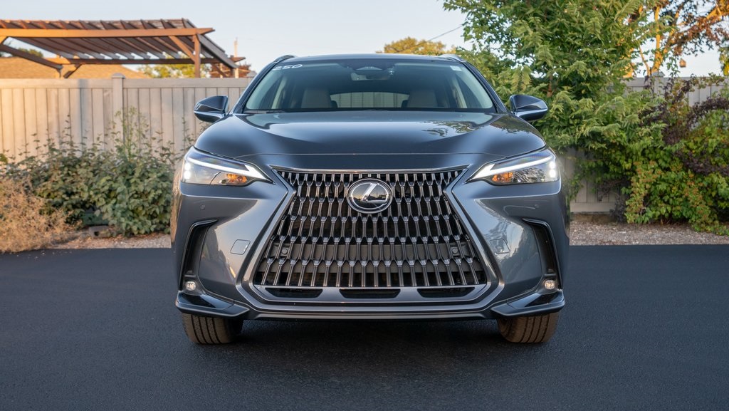 2025 Lexus NX 250 2