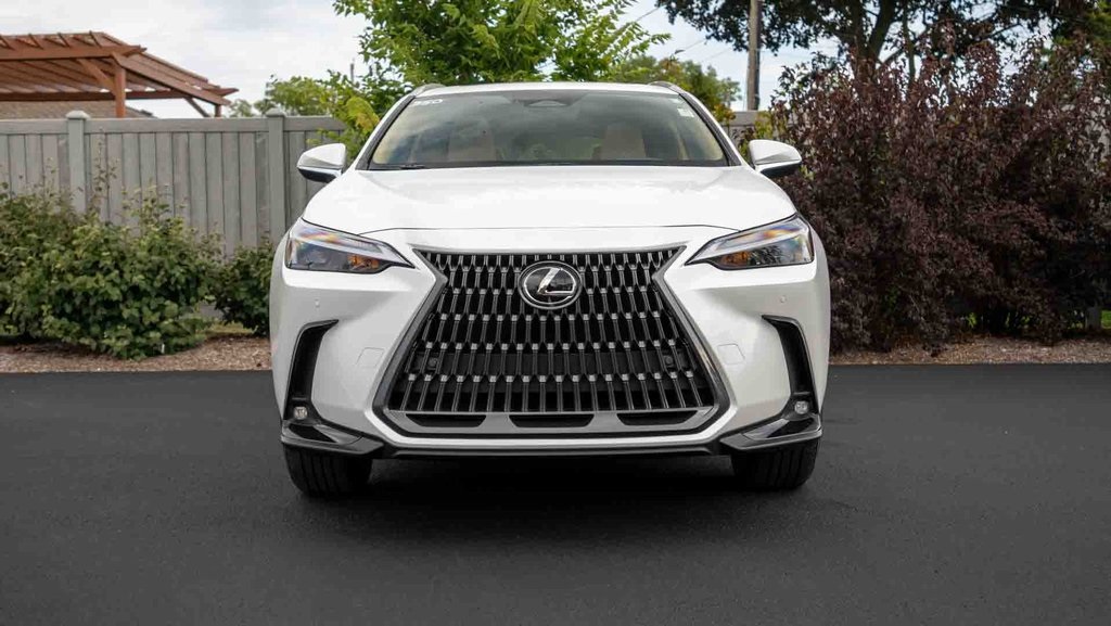 2025 Lexus NX 350 2