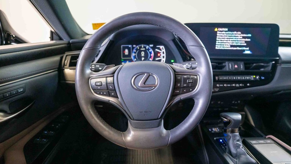 2022 Lexus ES 250 25