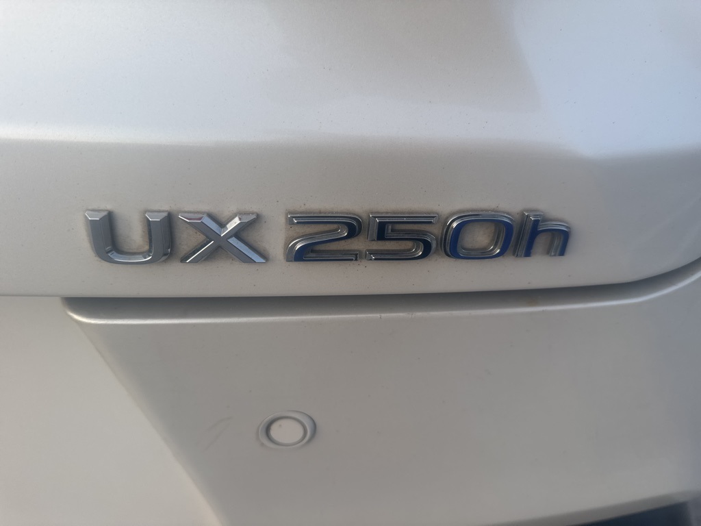 2020 Lexus UX 250h Base 16