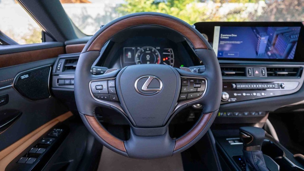 2025 Lexus ES 350 Luxury 25