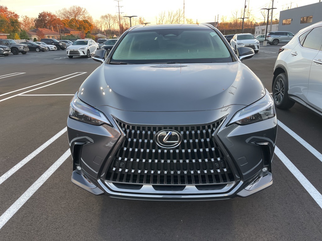 2025 Lexus NX 350 Base 2