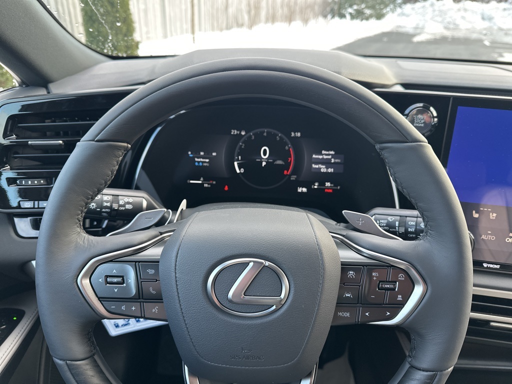 2025 Lexus RX 350 F Sport 9