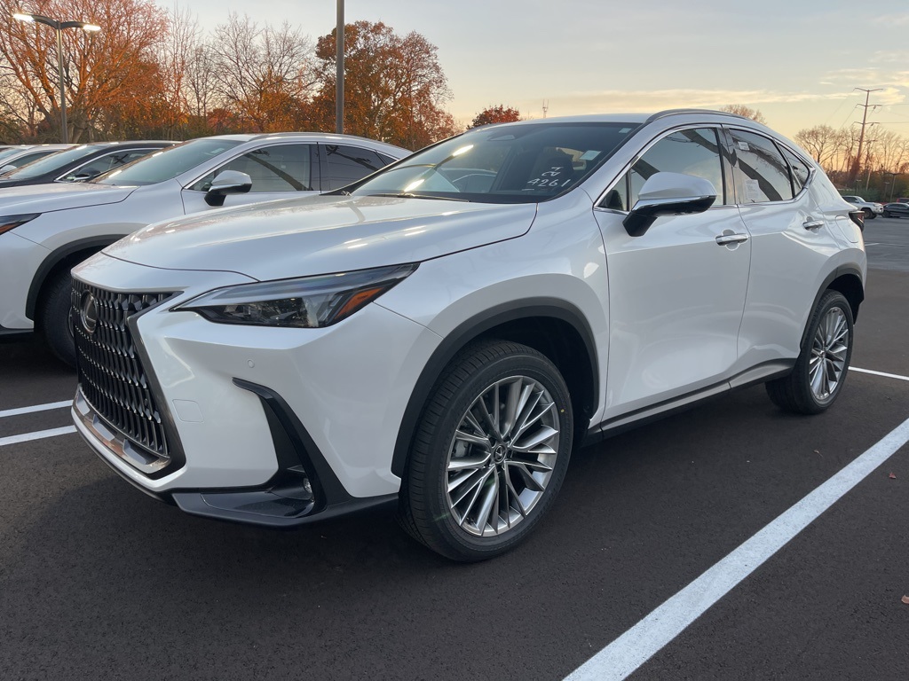 2025 Lexus NX 350h Premium 3