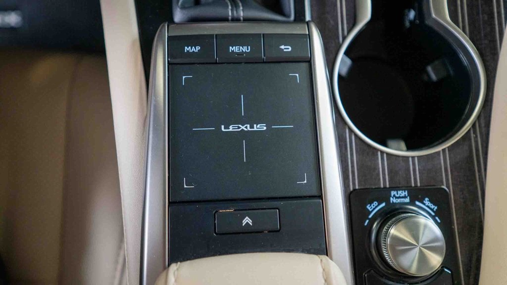 2022 Lexus RX 450h 19