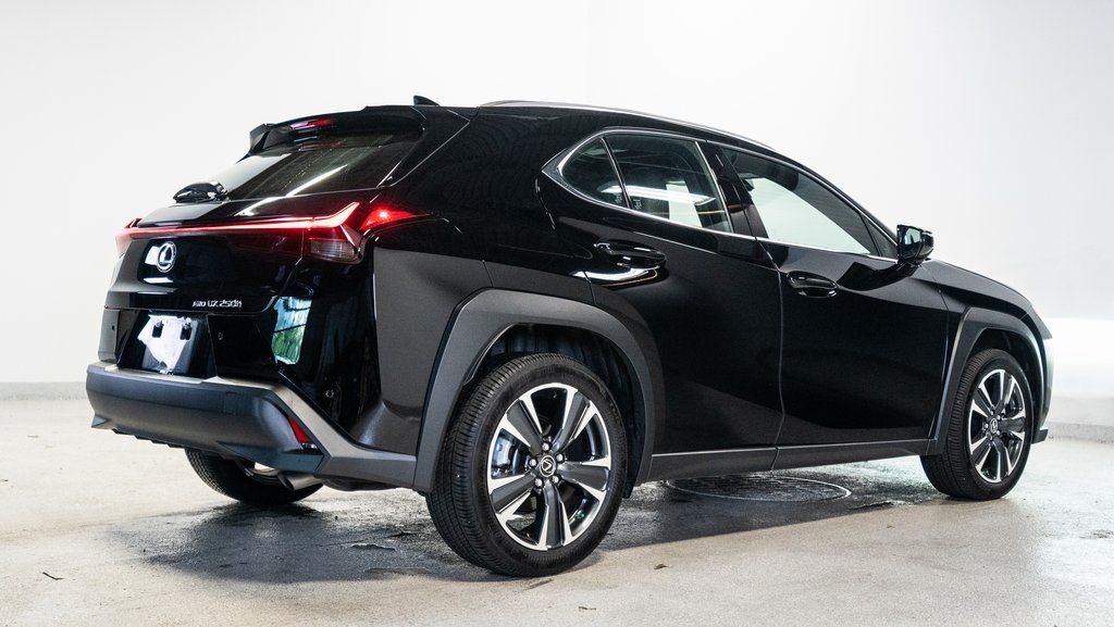 2024 Lexus UX 250h 6